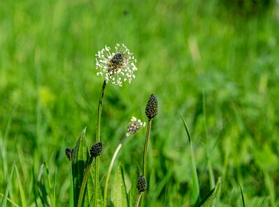 _DSC0588