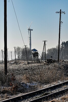 DSC_1817