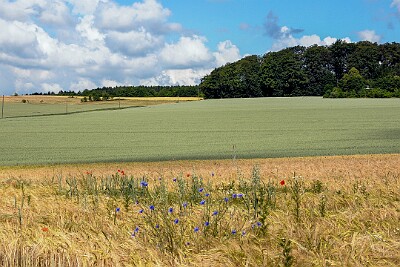 HWS_2184_2